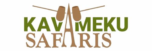 kavamekusafaris.com